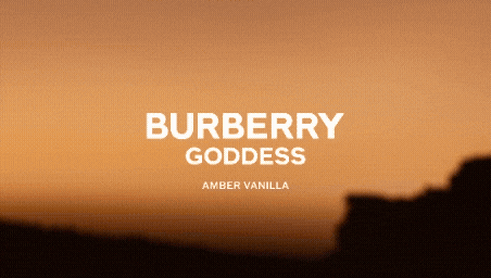 Shop Amber Vanilla